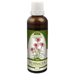 Echinacea - tinktura z byliny