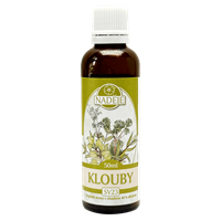 Klouby