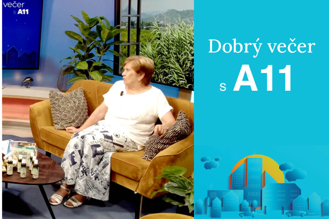 Rozhovor v pořadu Dobrý večer s A11 (Televize A11)